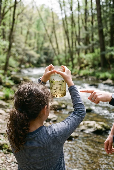 Photo: a jar of pond water held up to the light, tadpoles inside